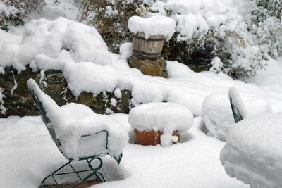 Met een gerust hart Kerst vieren: is uw tuin klaar voor de winter? (Tuinieren)