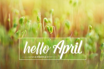Wat te doen in de tuin in april? (Tuinieren)