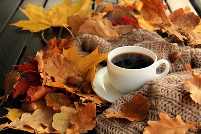 Wat te doen in de tuin in november? (Tuinieren)
