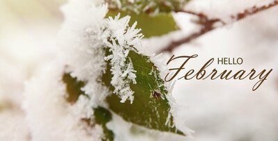 Tuinieren in februari (Tuinieren)