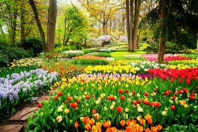 Wat te doen in de tuin in mei? (Tuinieren)