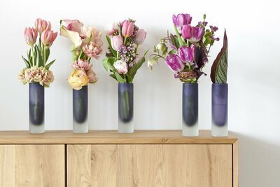 Tulpen in januari! (Kamerplanten)