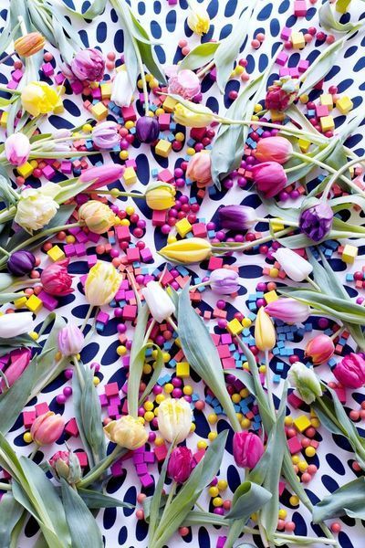 Tulpen plukken op de Dam in Amsterdam (Evenementen)