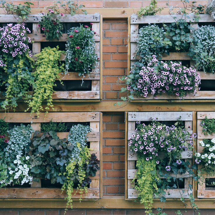 Stap-voor-stap Gids: Maak Je Eigen Verticale Tuin in 5 Simpele Stappen