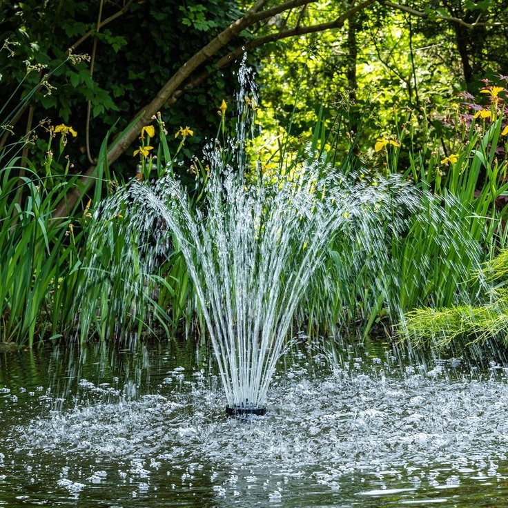 De voordelen van Oase vijverpompen- en filter