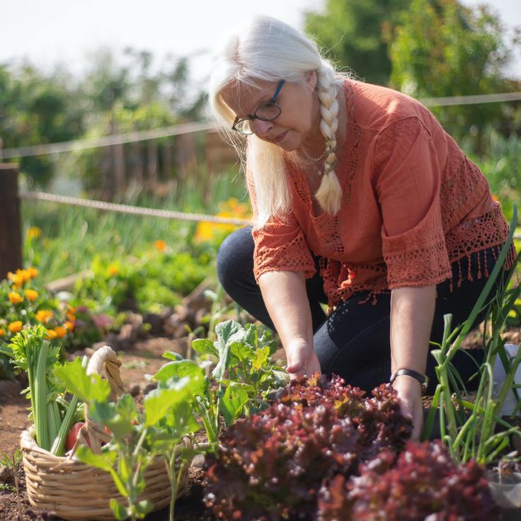 De beste houtsoorten voor moestuinbakken (Tuinieren)