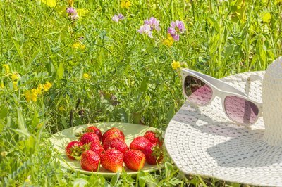 Wat te doen in de tuin in juli? (Tuinieren)