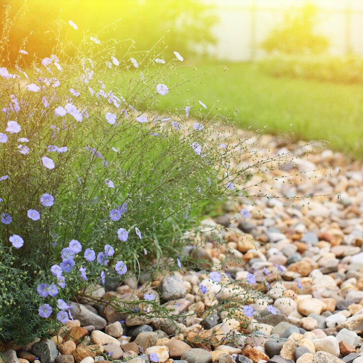 Zo zorg je voor een goede afwatering in je tuin (Tuinieren)