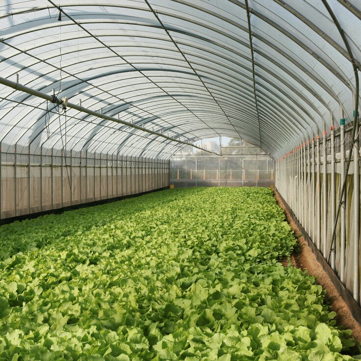 Waarvoor wordt een adsorptiedroger gebruikt in de tuinbouw? (Tuinieren)