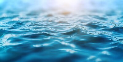 Wereldwaterdag 22 maart (Tuinnieuws)
