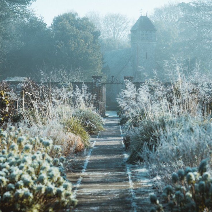 Wintersfeer in de tuin: Hoe maak je het gezellig?