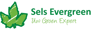 Logo Sels Evergreen
